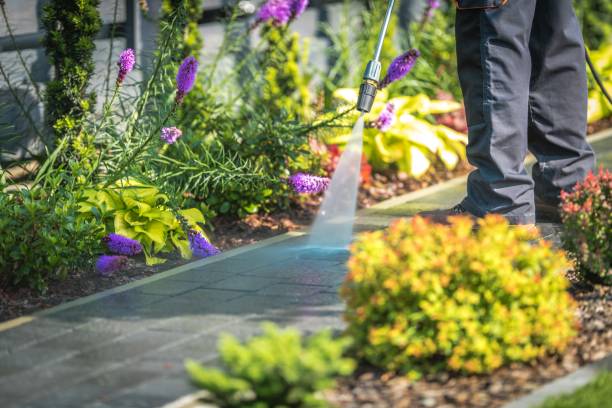 Best Patio and Deck Pressure Washing  in Shreve, OH